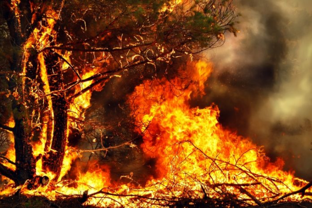 Stato di massima pericolosità incendi boschivi
